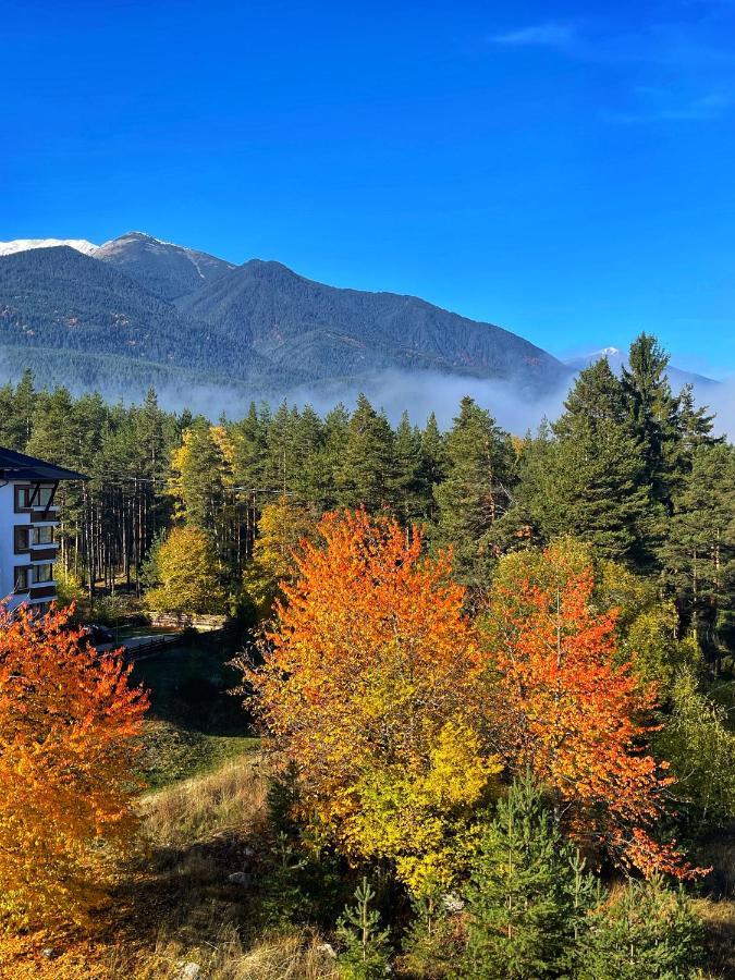 Park Hotel Panorama Bansko Bagian luar foto